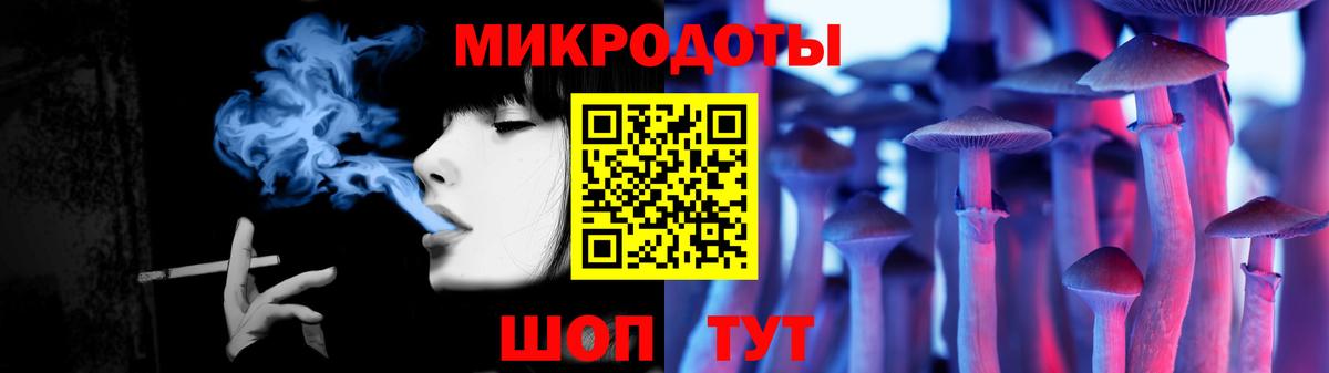 Галлюциногенные грибы Psilocybe Нурлат